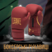 Боксерські рукавиці Leone GN059X BORDEAUX ED 10 унцій (капу в комплекті)