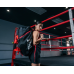 Спортивна сумка TITLE Boxing Champion Sport Bag/Backpack Black/Red Спортивна сумка TITLE Boxing Champion Sport Bag/Backpack Black/Red