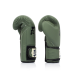 Боксерські рукавиці Fairtex BGV11 Green 12 унцій (бинти в комплекті)
