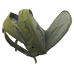 Рюкзак CATTARA 30L OLIVE 13868 Зелений